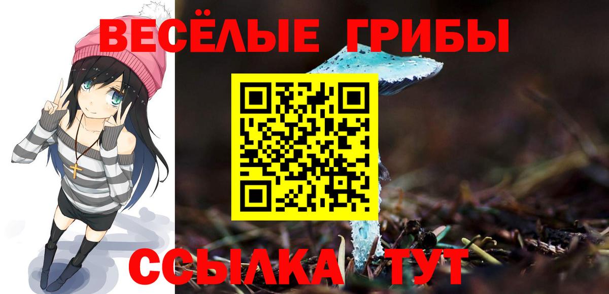 Воскресенск  Псилоцибиновые грибы мицелий  Вход с VPN 